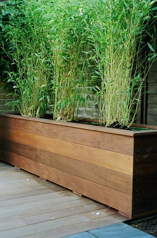 Planter 2
